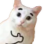 catlike