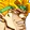 Dio