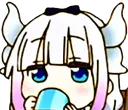 ELNSip