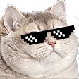 heavycool heavycool