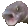 FishScream FishScream