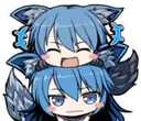 fenskojoy