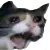 hypersad