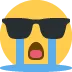 sobglasses