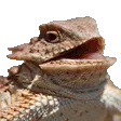 kekekeke