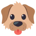 fido fido