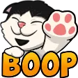 cohhBoop