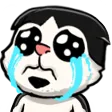 cohhFeels