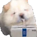 SlorspDance SlorspDance