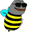 CoolB