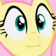 flutterkay