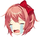 shcry shcry