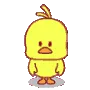 POLLO