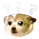 confuseddogwithquestionmarks confuseddogwithquestionmarks