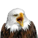 ore
