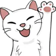 hellocat