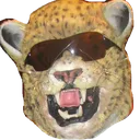 kingcool