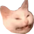 ZureKat
