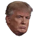 Trumpsad Discord Emoji
