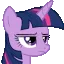 twibrow twibrow
