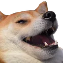 ehehehehehehe