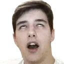 fpgasm