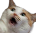 wtf Discord emoji