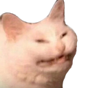 446338005389541386.png?v=1