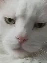 spookd spookd