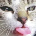 cheek