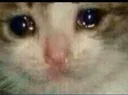 crycat