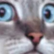 ohmai
