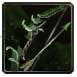 :ranger: Discord Emote