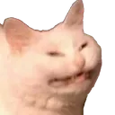 ahcat