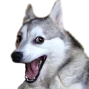 nicememe