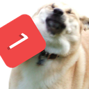 pingdog