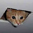 ceilingcat