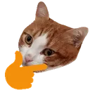 thinky_cat