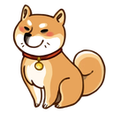 shiba