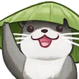 otterwave