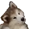 confuse