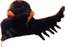 hokiedab Discord emoji