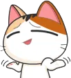 shrugcat shrugcat
