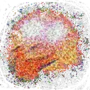 THINKWOKEDEEPFRIED