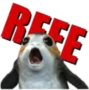 reee reee