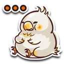 choco