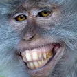 distSmile