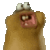 chompy