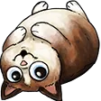 amyzF