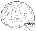 bigbrain